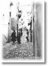 viarattazzi.jpg (34390 byte)